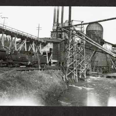 Photograph of North side of Mill Creek, Wendling, Oregon