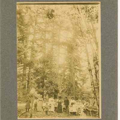 Pine Forest and The Hole Dam Family