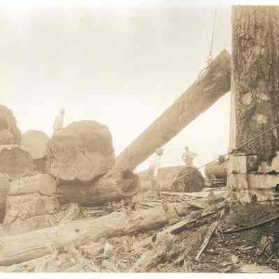 Photograph of yarding logs for Booth-Kelly Mill, Wendling, Oregon