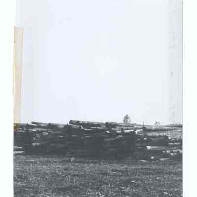 Photograph of a lumber mill, Springfield