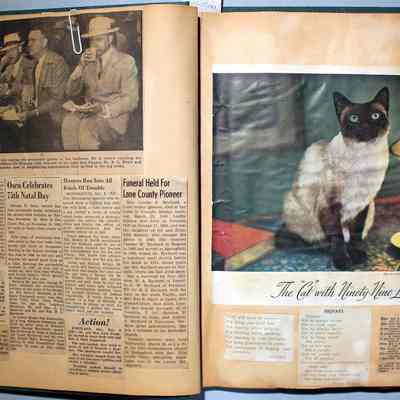 Pages 2-3