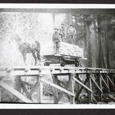 Photograph of a horse-pulled cart pulling lumber on a wooden bridge, Lane County, Oregon