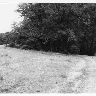 Photograph of a property in Jasper, Oregon, undated
