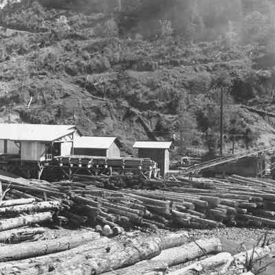 Photograph of log yard at a mill