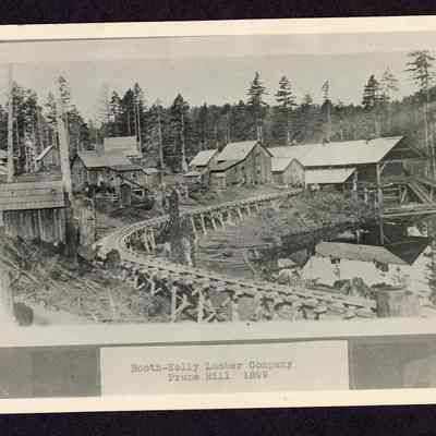 Photograph, Booth-Kelly Lumber Company, Prune Hill, 1899