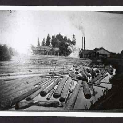 Photograph of unknown mill log pond