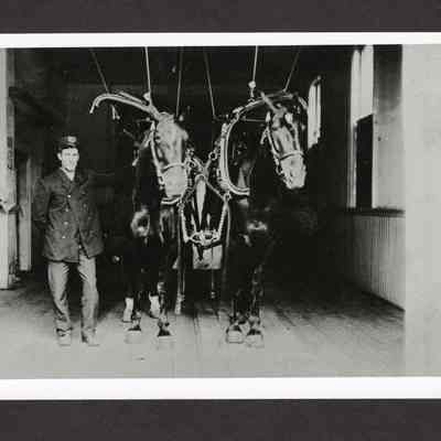 Photograph of Fireman with Two Horses, Undated