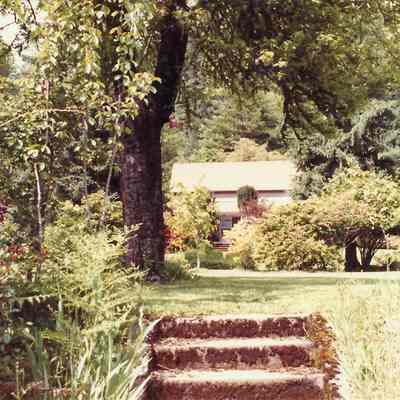 Photograph of Nestle Place