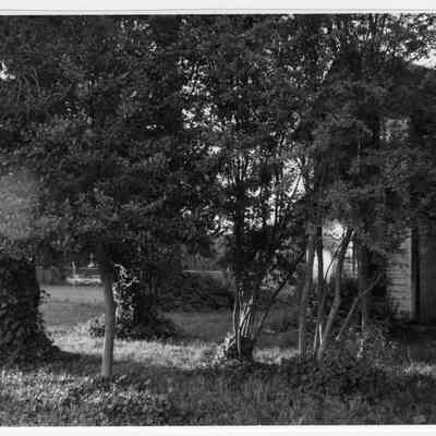 Photograph of the Brattain-Hadley house and grounds, Springfield, 1994-1998
