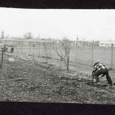 Photograph, Men Working, Undated