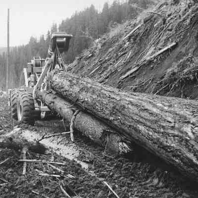 Photograph of logs moving with a skidder