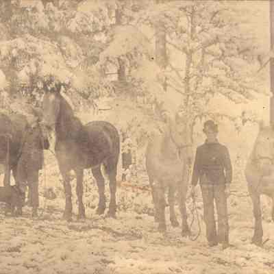 Photograph of unidentified men, horses, and dog in snow in woods