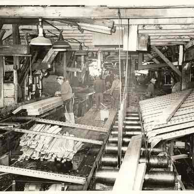 Photograph of Green Chain in a Mill, Undated