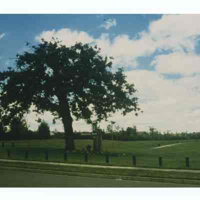 Photograph of Thurston Park, Springfield, circa 1980