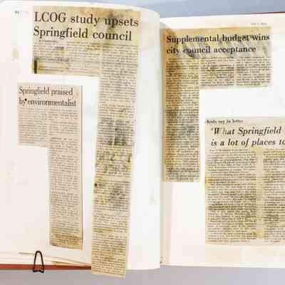 Pages 28-29 (Article unfolded)
