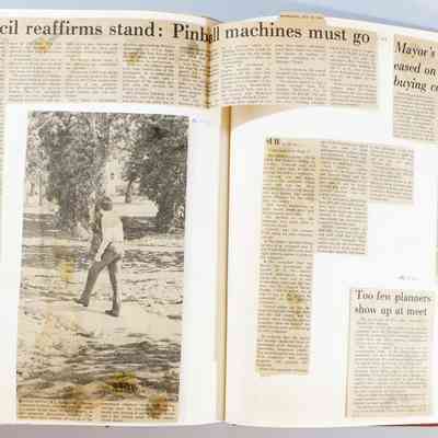 Pages 118-119 (Article Unfolded)