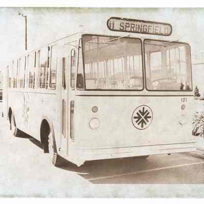 Photograph of a Lane Transit District Bus 11 (LTD), Springfield, circa 1970