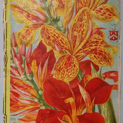 History scrapbook of Grace Eccleston, circa 1891