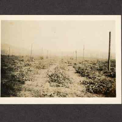 Photograph of a hopfield