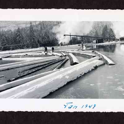 Photographs of Willamette Valley Tree Farm, Row River Lumber Company, 1948 and 1949