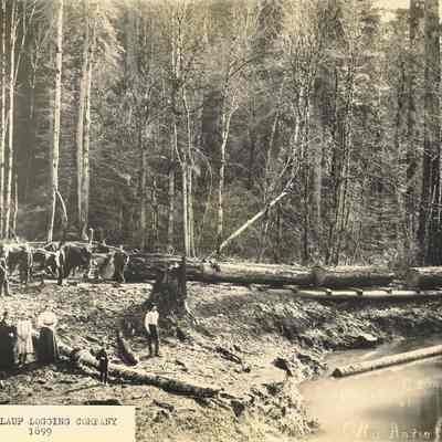 Photograph of Otto Anlauf Logging Company, 1899