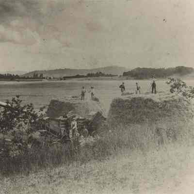Photograph of threshing on a farm, Dillard Road, Eugene, Oregon