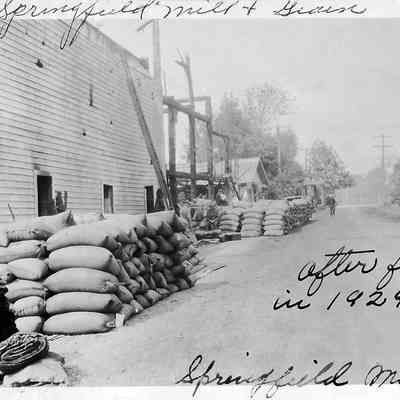 Photograph of Springfield Mill and Grain after the fire, Springfield, Oregon, 1929