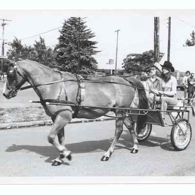 Photograph of a Summer Parade, Springfield, circa 1980