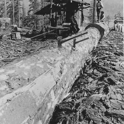Photograph of Montgomery Brothers Camp, Lane Country, Oregon, 1905