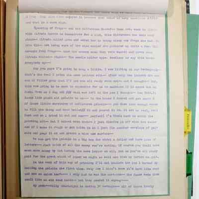 no numbered page in between page 48 and 49, Petunia Notes (page 3)
