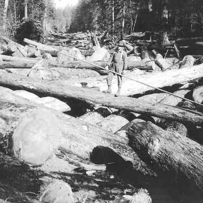 Photograph of man on jammed logs on the Willamette River, circa 1900-1920
