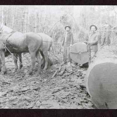 Photograph of two unknown men with a team of horses pulling a log
