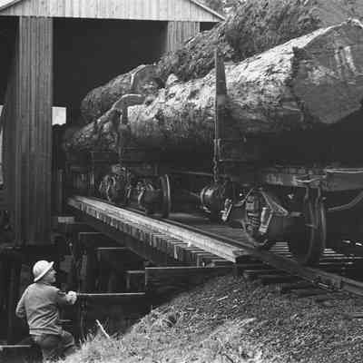 Photograph of flat car loaded with logs on the Southern Pacific Wendling branch bridge over the Mohawk River