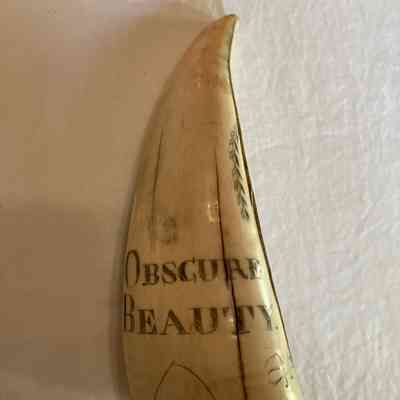 Back of item