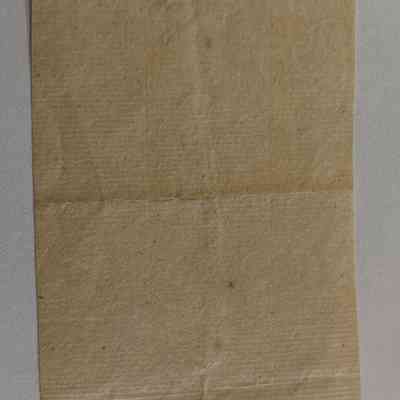 Close up of back detail in pencil