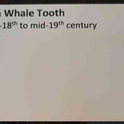 Previous display card