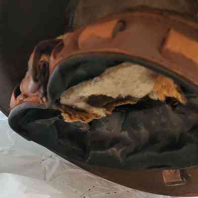 Inside of helmet.