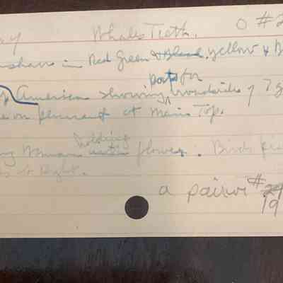 Card from Historical Card Catalog indicating provenance
