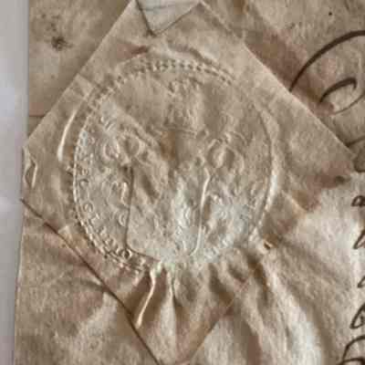 Close up of seal