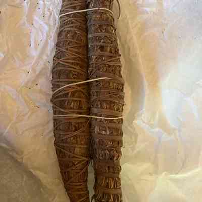 Malawi Cob