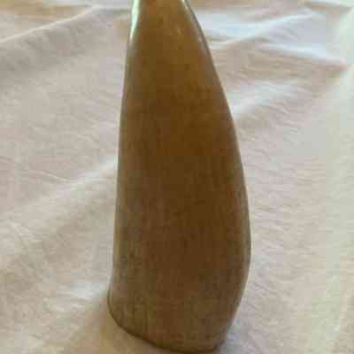 Whale Tooth