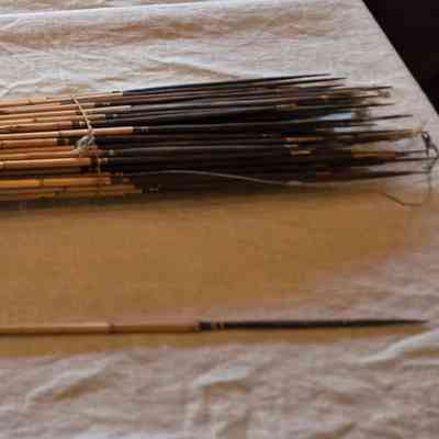 Bundle of Papua New Guinea Arrows