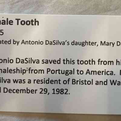 Previous display card