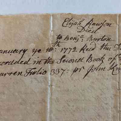 Close-up of back detail