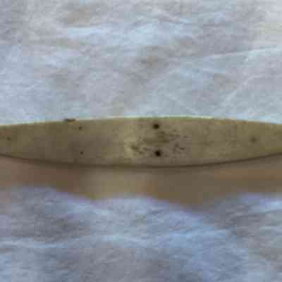 Scrimshaw (unknown item)