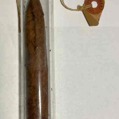Cigar