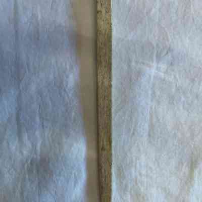 Scrimshaw 2 (Letter opener?)