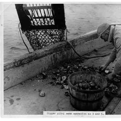 Blount Seafood Bigger pile; same operation as 3 and 5 B-5 25x20 black and white glossy