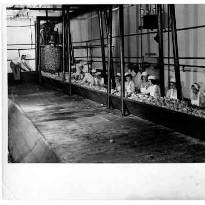 Blount Seafood Corp Warren R.I. 1950 John Bismarck clams Campbell Soup inspector 25x20 glossy black and white