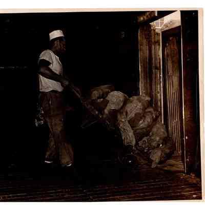Blount Seafood Corp Warren R.I. John Bismarck's unloading trucks circa 1950 25x21 glossy black and white
